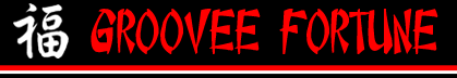 groovee fortune - some day soon you'll need a web page