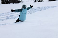 IMG_2847-2a