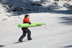 IMG_3006