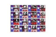 az-vs-texas-rollergirls-sticker